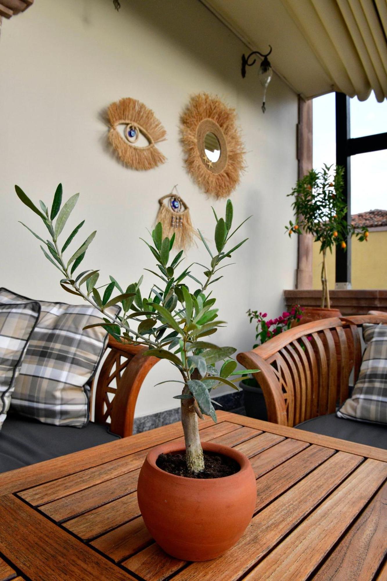 Siyah Lale Cunda 1841 (Adults Only) Hotel Ayvalı Buitenkant foto