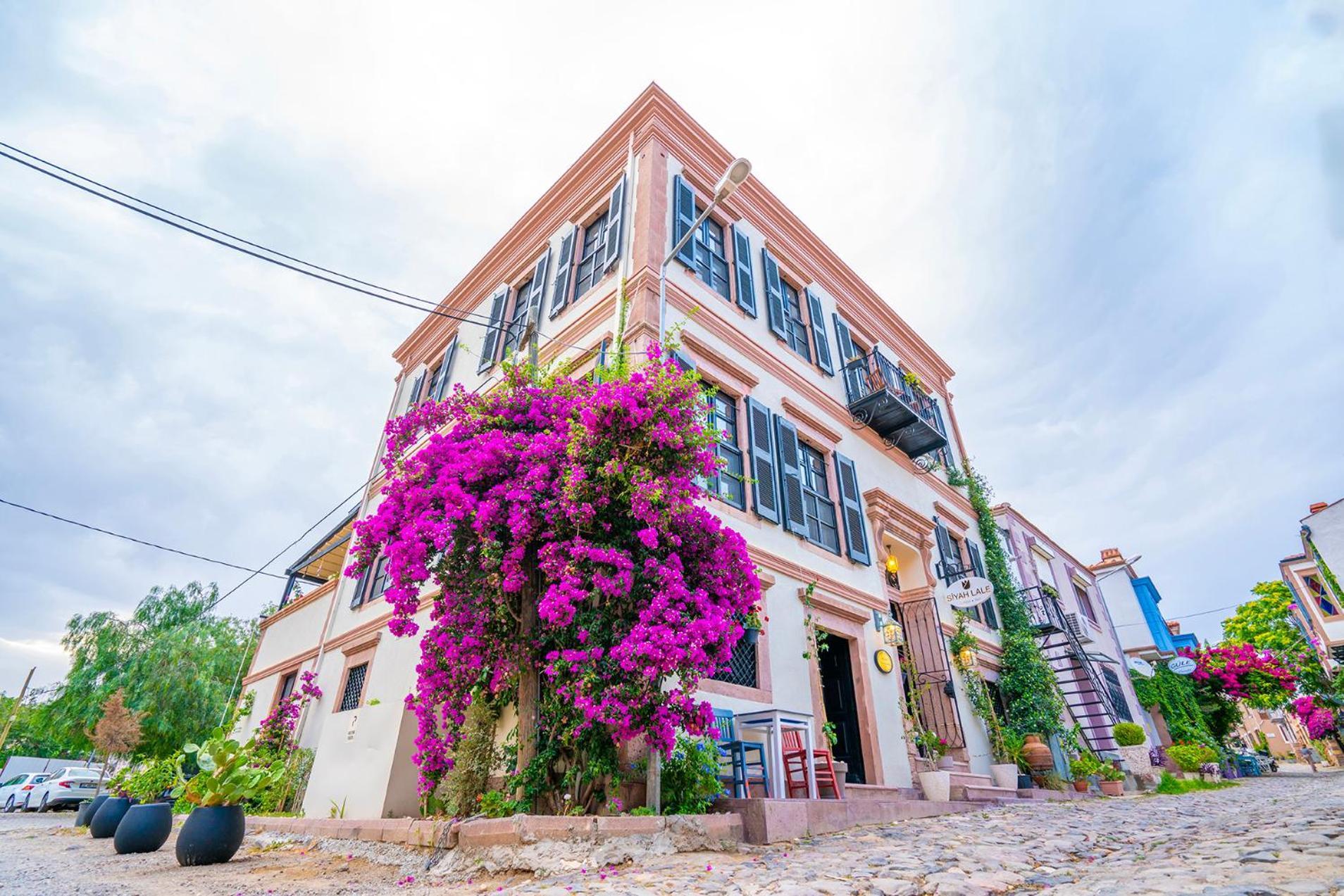 Siyah Lale Cunda 1841 (Adults Only) Hotel Ayvalı Buitenkant foto