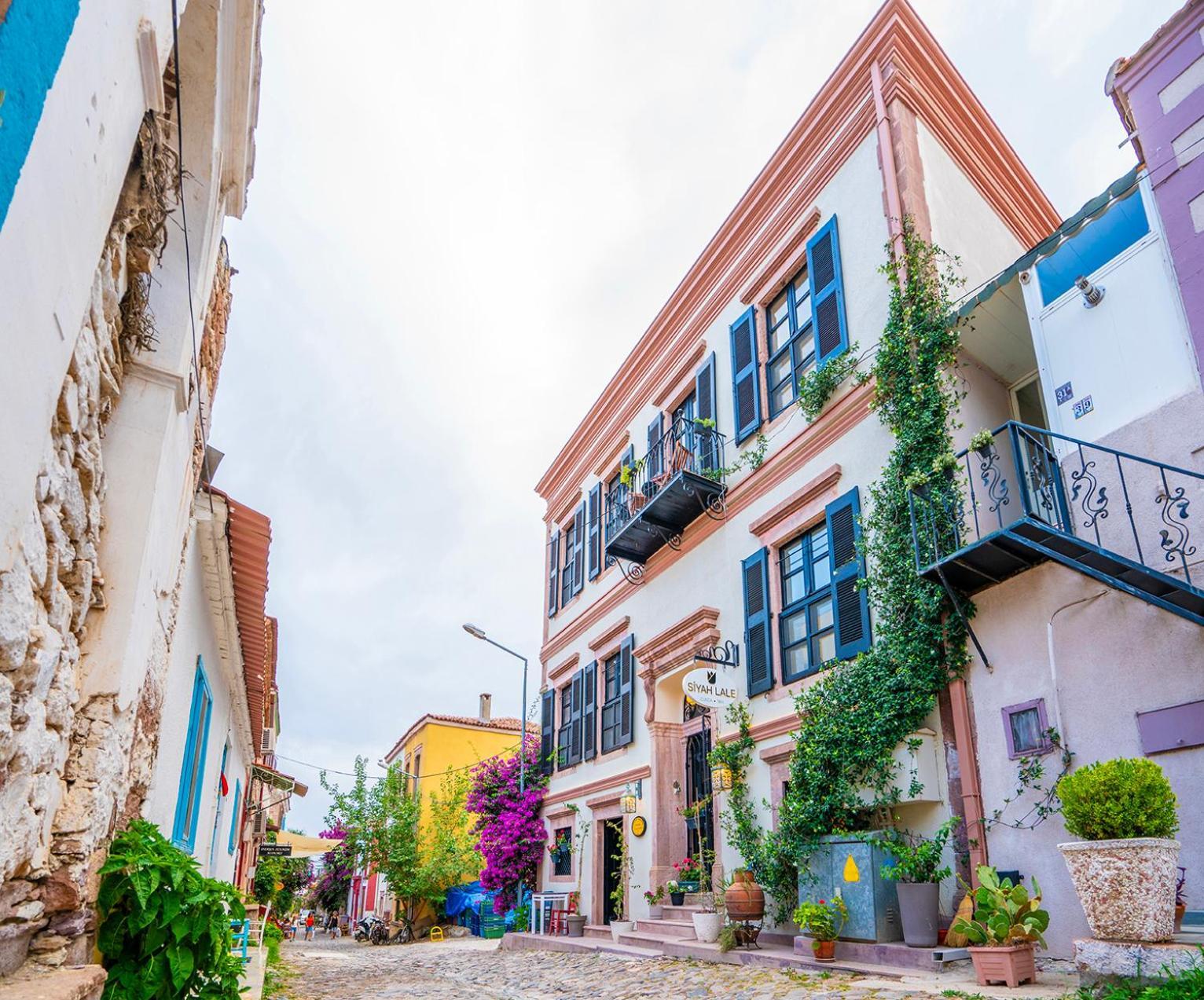Siyah Lale Cunda 1841 (Adults Only) Hotel Ayvalı Buitenkant foto