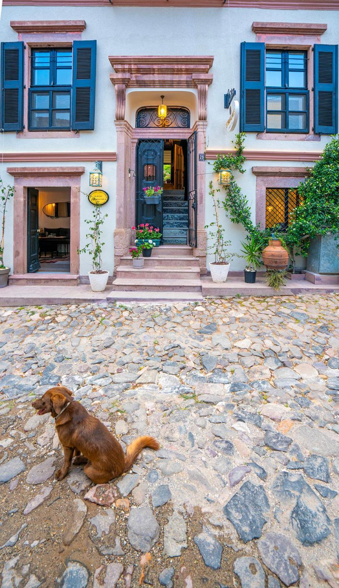 Siyah Lale Cunda 1841 (Adults Only) Hotel Ayvalı Buitenkant foto